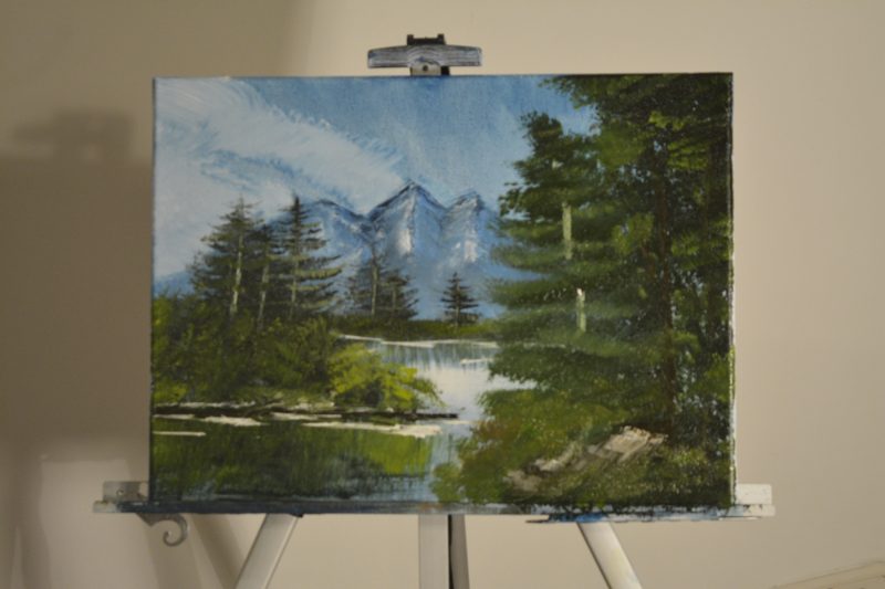 I just received, the Bob Ross Master Paint set, ordered online. Here is my  take on the intro pictur Canvas 30X40cm : r/HappyTrees
